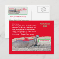 NIEDLICHE CHRISTMAS POSTCARD/ ALL I WOLL FOR CHRIS