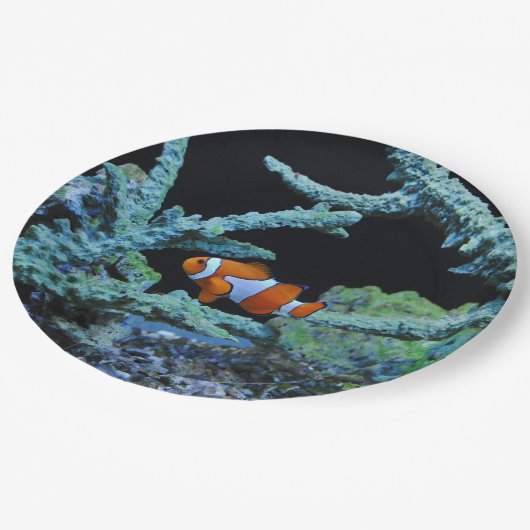 Niedliche Clown-Fische in der Koralle Pappteller (Schrägansicht)