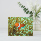 Niedliche Clownfish Postkarte (Stehend Vorderseite)