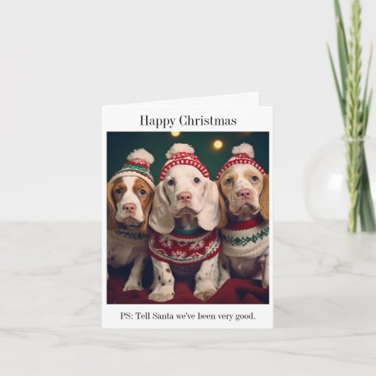 Niedliche Clumber Spaniels Weihnachtskarte Karte (Vorderseite)