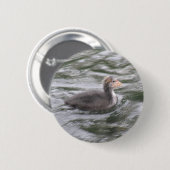 Niedliche Coot Chick auf Choppy Waters Button (Vorne & Hinten)