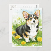 Niedliche Corgi Dandeli Frühjahr Postkarte (Vorne/Hinten)