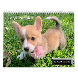 Niedliche Corgi Welpen 2026 Welpenwand Kalender