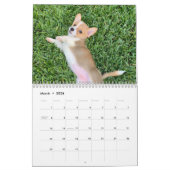Niedliche Corgi Welpen 2026 Welpenwand Kalender (Mär 2026)