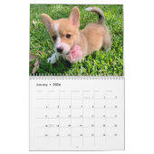 Niedliche Corgi Welpen 2026 Welpenwand Kalender (Jan 2026)