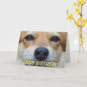 Niedliche Corgigeburtstagskarte Karte (Gelbe Blume)