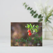 Niedliche Couple Berries Postkarte (Stehend Vorderseite)