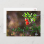 Niedliche Couple Berries Postkarte (Vorne/Hinten)