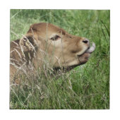 NIEDLICHE COW FLIESE (Vorderseite)