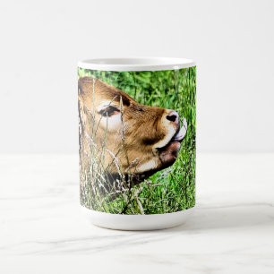 NIEDLICHE COW KAFFEETASSE