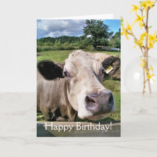 NIEDLICHE COW KARTE (Gelbe Blume)