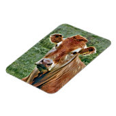 NIEDLICHE COW MAGNET (Linke Seite)
