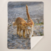 Niedliche Cudly Cats Kittens Friends Stony Path Fo Sherpadecke (Vorderseite)