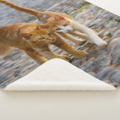 Niedliche Cudly Cats Kittens Friends Stony Path Fo Sherpadecke (3/4)