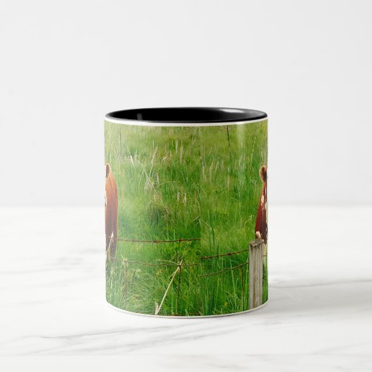 Niedliche Curry Kuh Brown Green 4mal Kaffeetasse (Mittel)