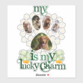 Niedliche Custom Paw Fotos Hund St Patrick's Day Aufkleber (Blatt)