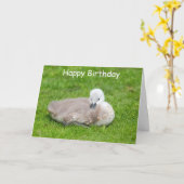 Niedliche Cygnet-Geburtstagskarte Karte (Gelbe Blume)