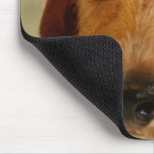 Niedliche Dackel (Brown-Draht behaart) in den Mousepad (Ecke)