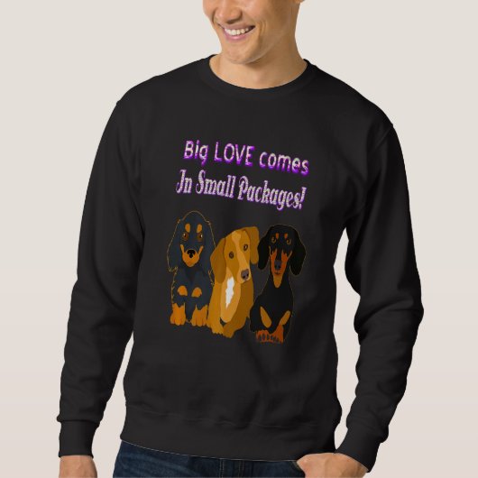 Niedliche Dackel Funny Dackel Hund 2 Sweatshirt (Vorderseite)