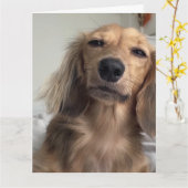 Niedliche Dackel Hund Geburtstag Karte (Gelbe Blume)