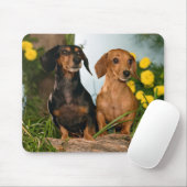 Niedliche Dackel Hund liebt Doxin Puppy Dackel Mousepad (Mit Mouse)