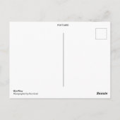 Niedliche Dackel mit Socken Postkarte (Rückseite)