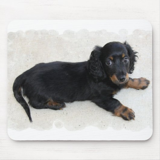 Niedliche Daschund Mausunterlage Mousepad (Vorne)