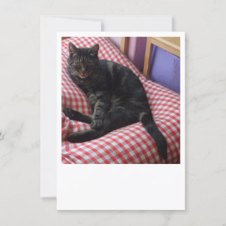 Niedliche Dave-Einladung Einladung