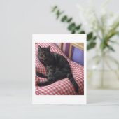 Niedliche Dave-Einladung Einladung (Stehend Vorderseite)