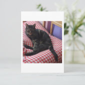 Niedliche Dave-Einladung Einladung (Stehend Vorderseite)