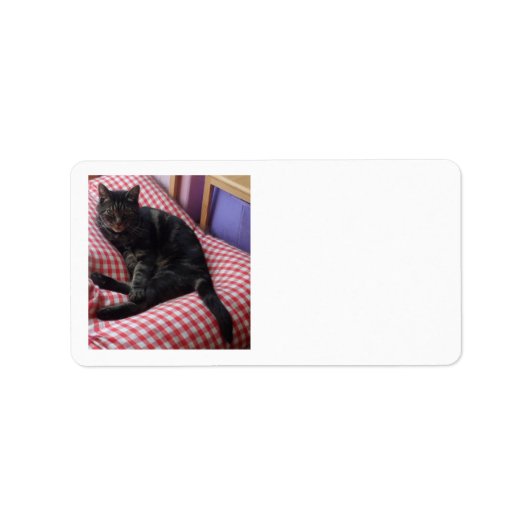 Niedliche Dave Return Labels Adressaufkleber (Vorne)
