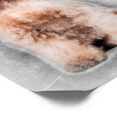 Niedliche Dekoration der amerikanischen Cocker Spa (Ecke)