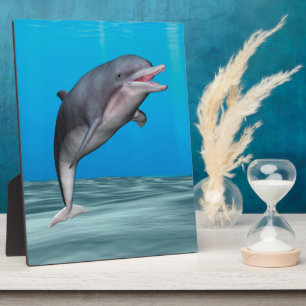 Niedliche Delphin Fotoplatte