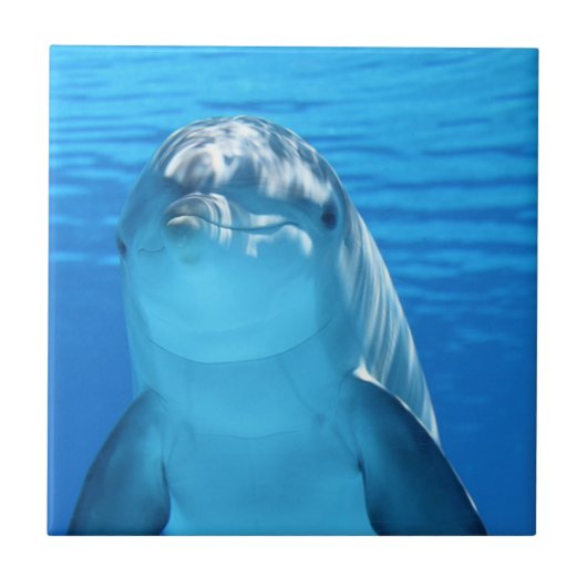 Niedliche Delphin im Ozean Fliese (Vorderseite)