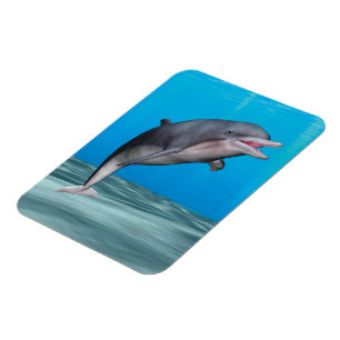 Niedliche Delphin Magnet