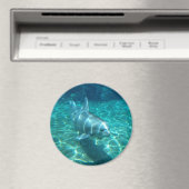 Niedliche Delphin Magnet (In Situ (Geschirrspüler))