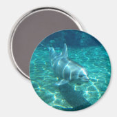 Niedliche Delphin Magnet (Vorderseite/Rückseite)
