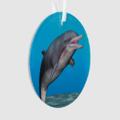 Niedliche Delphin Ornament (Vorderseite)
