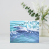 Niedliche Delphine Foto Postkarte (Stehend Vorderseite)