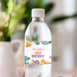 Niedliche Dinosaurier Girl Birthday Water Flasche  Wasserflaschenetikett
