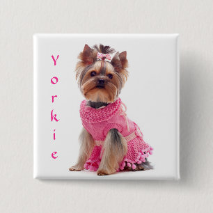Niedliche Diva Yorkie Yorkshire Terrier Square But Button