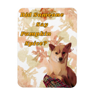 Niedliche Dog Pumpkin Gewürzmagnete Magnet