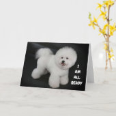 **NIEDLICHE DOGGIE WÜNSCHE** GLÜCKLICH *40.** GEBU KARTE (Gelbe Blume)