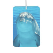 Niedliche Dolphin Lächeln Ozean Dolphin Lover Autolufterfrischer (Vorderseite)