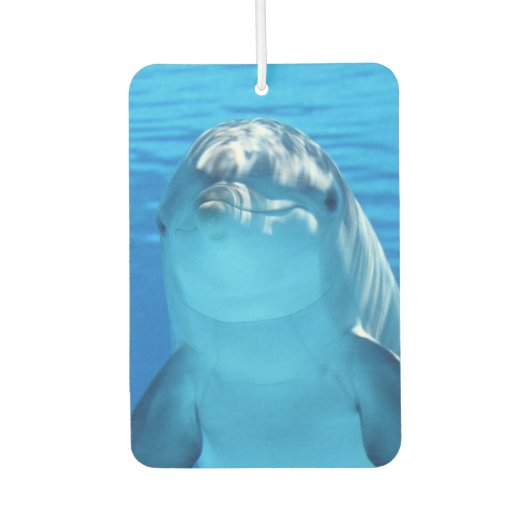 Niedliche Dolphin Lächeln Ozean Dolphin Lover Autolufterfrischer (Vorderseite)
