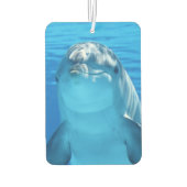 Niedliche Dolphin Lächeln Ozean Dolphin Lover Autolufterfrischer (Rückseite)