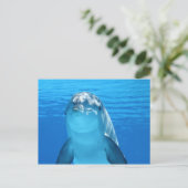 Niedliche Dolphin Postkarte (Stehend Vorderseite)