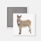 Niedliche Donkey Burro Fotografie Magnet (Vorderseite/Rückseite)