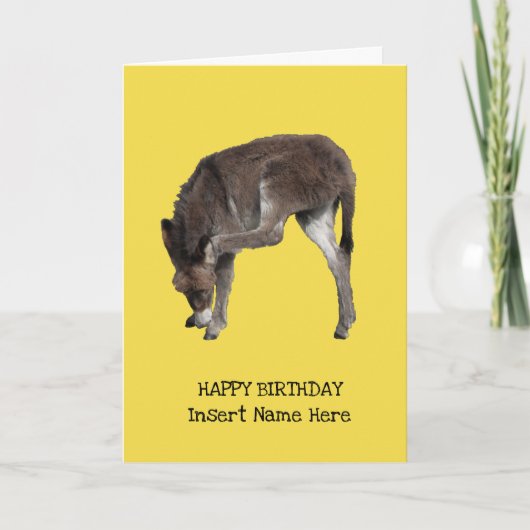 Niedliche Donkey Foal Scratching Ohrvorlage Karte (Vorderseite)