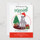 Niedliche Donkey-Weihnachtsmannmütze Weihnachten P (Vorderseite)